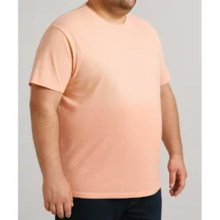 Bigdude Ombre T-Shirt Apricot -Big Dude Clothing Shop 13c1bc60 70a096fa life2 bdt83ts09 110 apricot