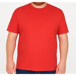 Bigdude Plain Crew Neck T-Shirt Red Space Cherry -Big Dude Clothing Shop 229d5933 life1 us101 22 red