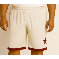Bigdude Layered Basketball Shorts Beige/Burgundy -Big Dude Clothing Shop 549c93a9 life1 bd25sh04 65 beige