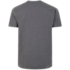 Bigdude Plain Crew Neck T-Shirt Charcoal -Big Dude Clothing Shop 6512ad99 bd101 04 charcoal 2