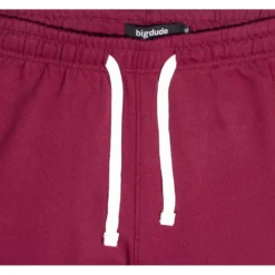 Bigdude Basic Joggers Burgundy -Big Dude Clothing Shop img 2114 1