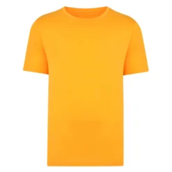 Bigdude Plain Crew Neck T-Shirt Orange